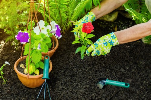 Professional lawn mowing service in Canary Wharf