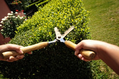 Professional decking installation benefits