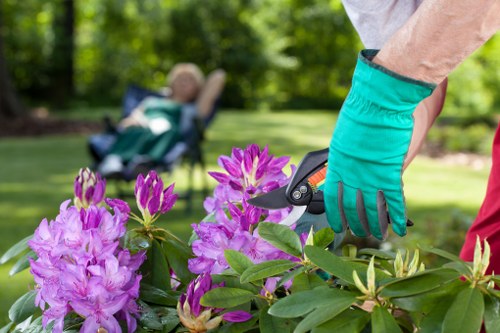 Environmental benefits of green spaces