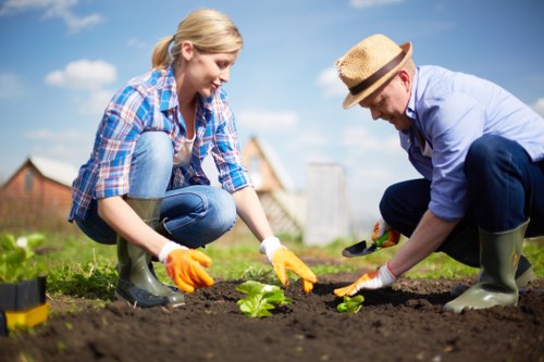 Comprehensive garden care services