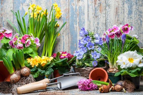 Experienced garden maintenance team